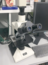医療用顕微鏡